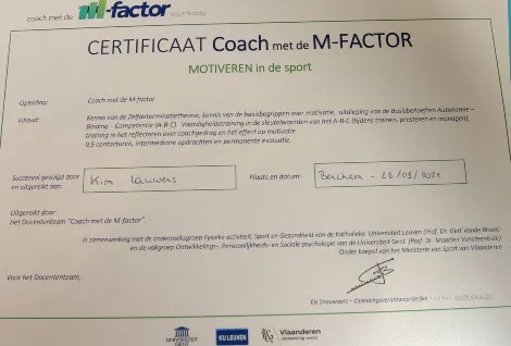 Diploma M-Factor