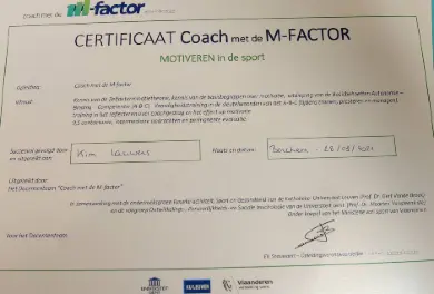 Coachen met de M-Factor