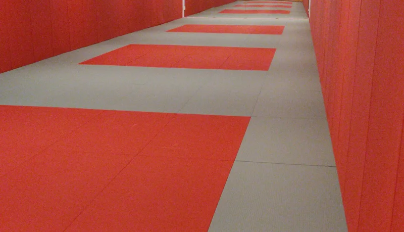 Onze lege dojo