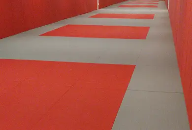 Onze lege dojo